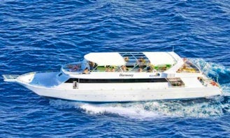 Charter Harmony Motor Yacht in South Sinai Governorate, Egypt