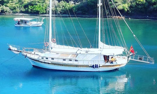 Remo Gulet Charter em Muğla, Turquia