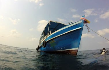 Diving Charter in Tambon Ko Tao