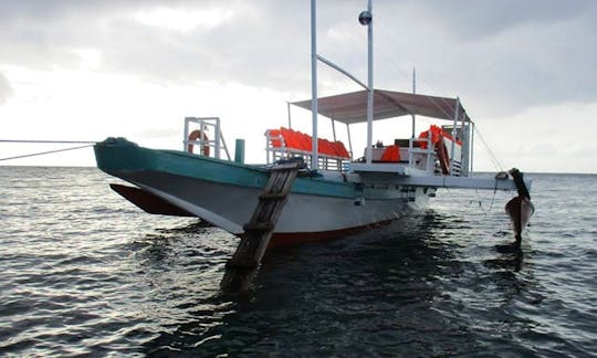 Charter a Traditional Boat in Dauin, Philippines