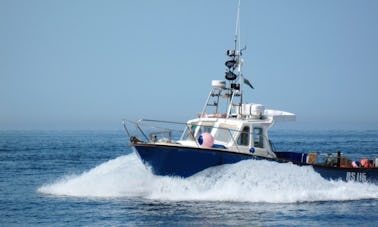 Excursion de pêche charter sur « Lady Gwen II » Lochin 33 avec le capitaine Sean dans le comté de Clare, en Irlande