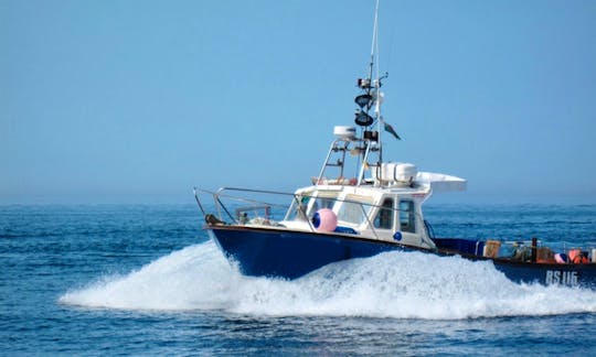 Fishing Trip Charter On "Lady Gwen II" Lochin 33 With Captain Sean In County Clare, Ireland