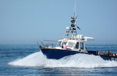 Fishing Trip Charter On "Lady Gwen II" Lochin 33 With Captain Sean In County Clare, Ireland