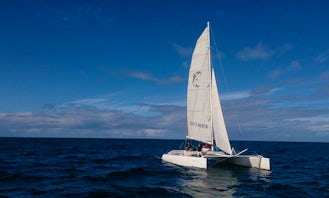 4 Hours Sailing Adventure in Canarias, Spain