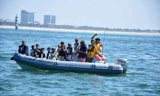 12 person Boat Rental - Rigid Inflatable Boat in Setúbal, Portugal
