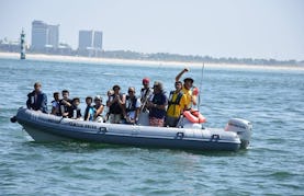 12 person Boat Rental - Rigid Inflatable Boat in Setúbal, Portugal