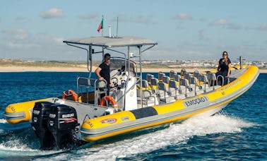 Captained Boat (RIB) Rigid Inflatable Boat Tour in Setúbal, Portugal