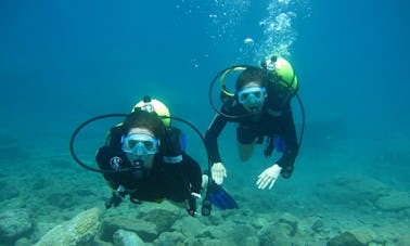 Enjoy Scuba Diving in Aydın, Turkey