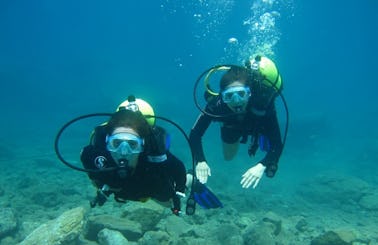 Enjoy Scuba Diving in Aydın, Turkey