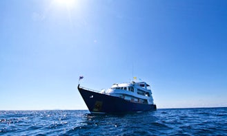 Thailand Diving Charter Manta Queen 3 for 4 nights