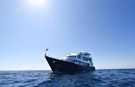 Thailand Diving Charter Manta Queen 3 for 4 nights