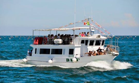 Charter Dali Motor Yacht in Porto Garibaldi, Italy