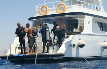 Diving / Snorklling Trips in Aqaba, Jordan