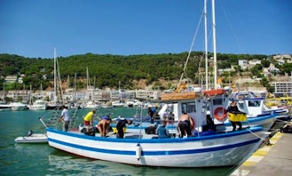 Passenger Boat Diving Charter in Torroella de Montgri, Spain