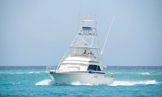 Aruba Deep Sea Fishing Charter On 54 Bertram Fishing Boat With Capt. Peter