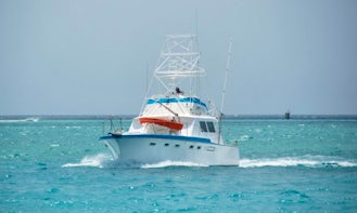 Exciting Fishing Trip On 42' Hatteras Sportfisherman In Aruba With Capt. Peter