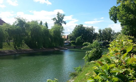 Ljubljana Marshes tour with aroundljubljana si