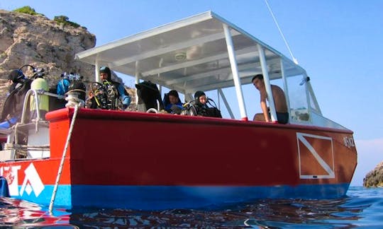 Red Catamaran Diving Trips & Courses in Komiža