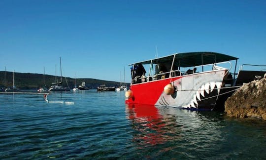 Shark Catamaran Diving Trips & Courses in Komiža