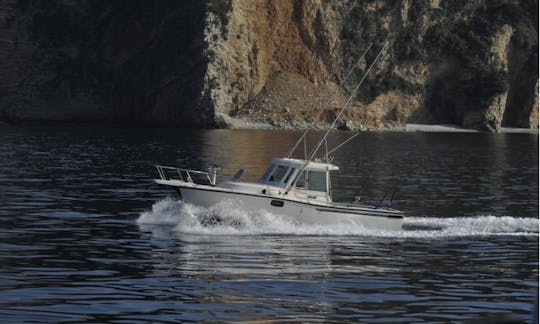 Fun Fishing Adventure on Cuddy Cabin in Sveti Stefan, Montenegro