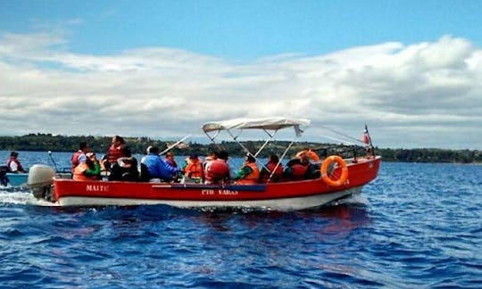 Enjoy Fishing in Puerto Varas, Chile on 25' Center Console