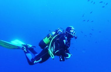 Diving Courses in Tías, Canarias