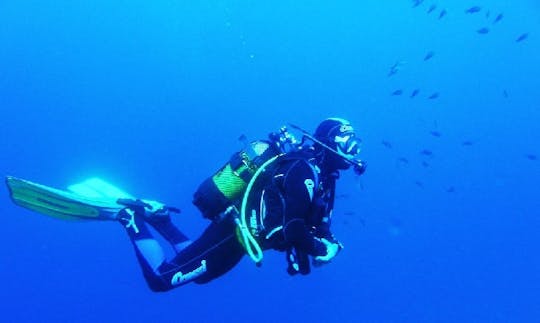 Diving Courses in Tías, Canarias