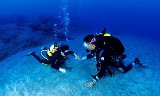 カナリア島、ティアスのダイビングコース