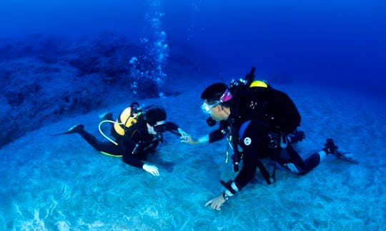 Diving Courses in Tías, Canarias