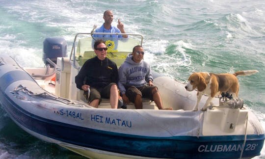 'Hei Matau' Semi-Rigid RIB Boat Eco-Tours in Portugal