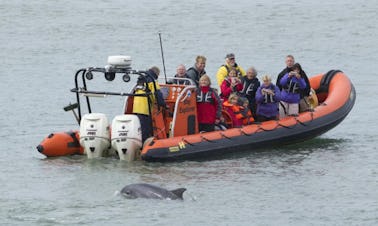 イギリスのウェールズでリジッド・インフレータブル・ボートをチャーターしよう