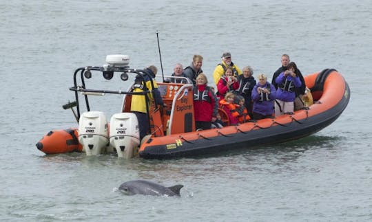 Charter a Rigid Inflatable Boat in Wales, United Kingdom