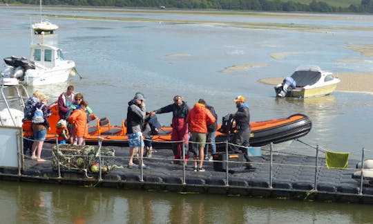 Charter a Rigid Inflatable Boat in Wales, United Kingdom