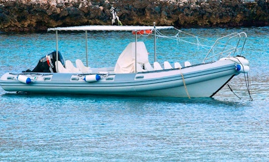Exclusive Guided Excursion Aboard 25' Rib For 12 Person In Egadi Islands With Edoardo