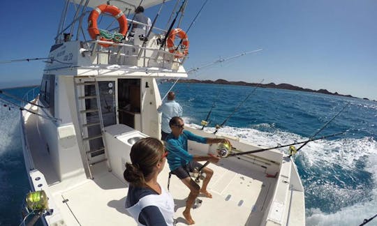 Enjoy Fishing in La Oliva, Spain on 39' Barracuda Power Catamaran