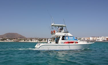 Desfrute da pesca em La Oliva, Espanha, no catamarã Barracuda Power de 39 pés