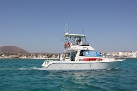 Enjoy Fishing in La Oliva, Spain on 39' Barracuda Power Catamaran