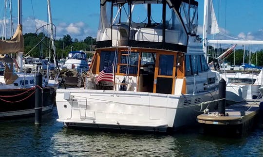 Fishing Charter On 38' Bay Liner Sport Fishing Yacht In Erie, Pennsylvania