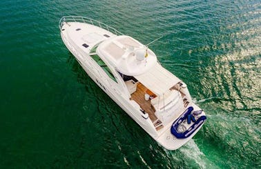 Sea Ray 38 Motor Yacht Charter for 12 People in Cartagena, Colombia