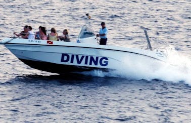 Scuba Diving In Sant Josep de sa Talaia