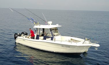 Divirta-se pescando no console central 30' Pursuit 3070 CC em Zadar, Croácia