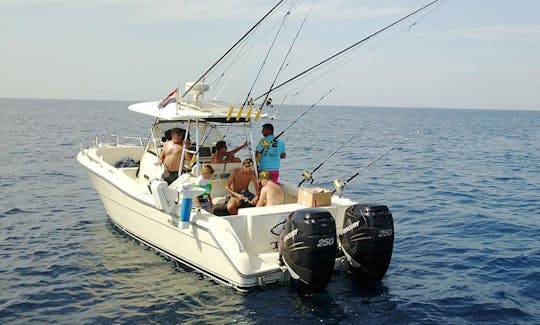 Enjoy Fishing on 30' Pursuit 3070 CC Center Console in Zadar, Croatia