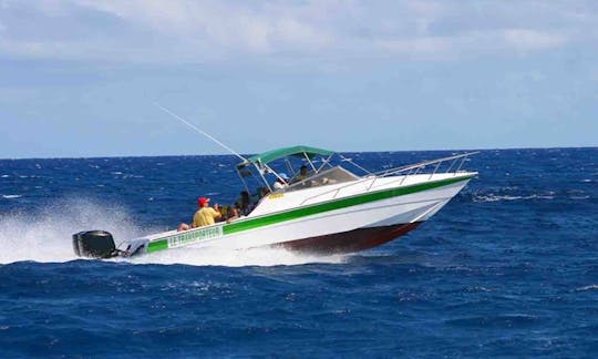 Charter a Cuddy Cabin in Ferney, Mauritius