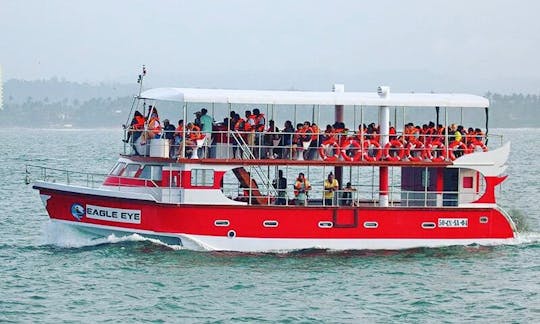 Whale and dolphin watching in mirissa is one of the most exciting water activities you can do in Sri Lanka during your holiday. Mirissa is the best pl