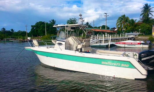 Enjoy Fishing in Cabedelo, Brazil on Wallcraft Center Console