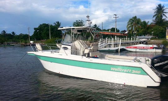 Enjoy Fishing in Cabedelo, Brazil on Wallcraft Center Console