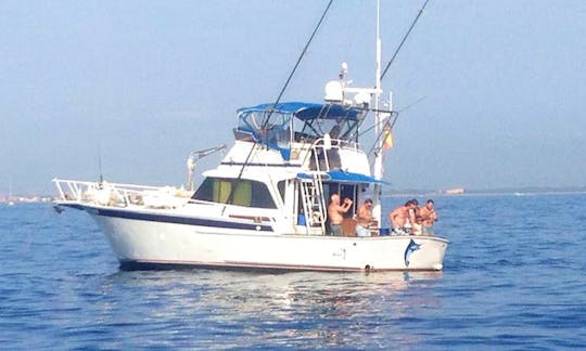 Fishing Charter On 44ft "Sail Fish" Striker Alu-Yacht In Castelló d'Empúries, Spain