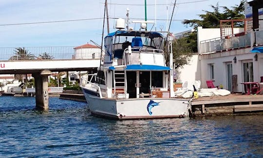 Fishing Charter On 44ft "Sail Fish" Striker Alu-Yacht In Castelló d'Empúries, Spain