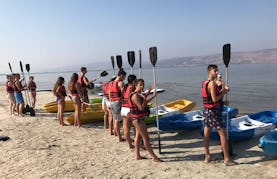 Stable Kayak Rentals in Ein Gev, Israel