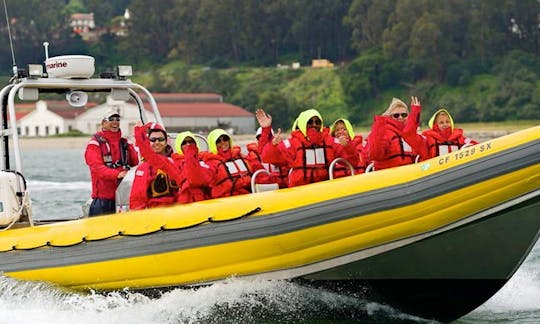 'Bay Voyager' RIB for Charter in San Francisco